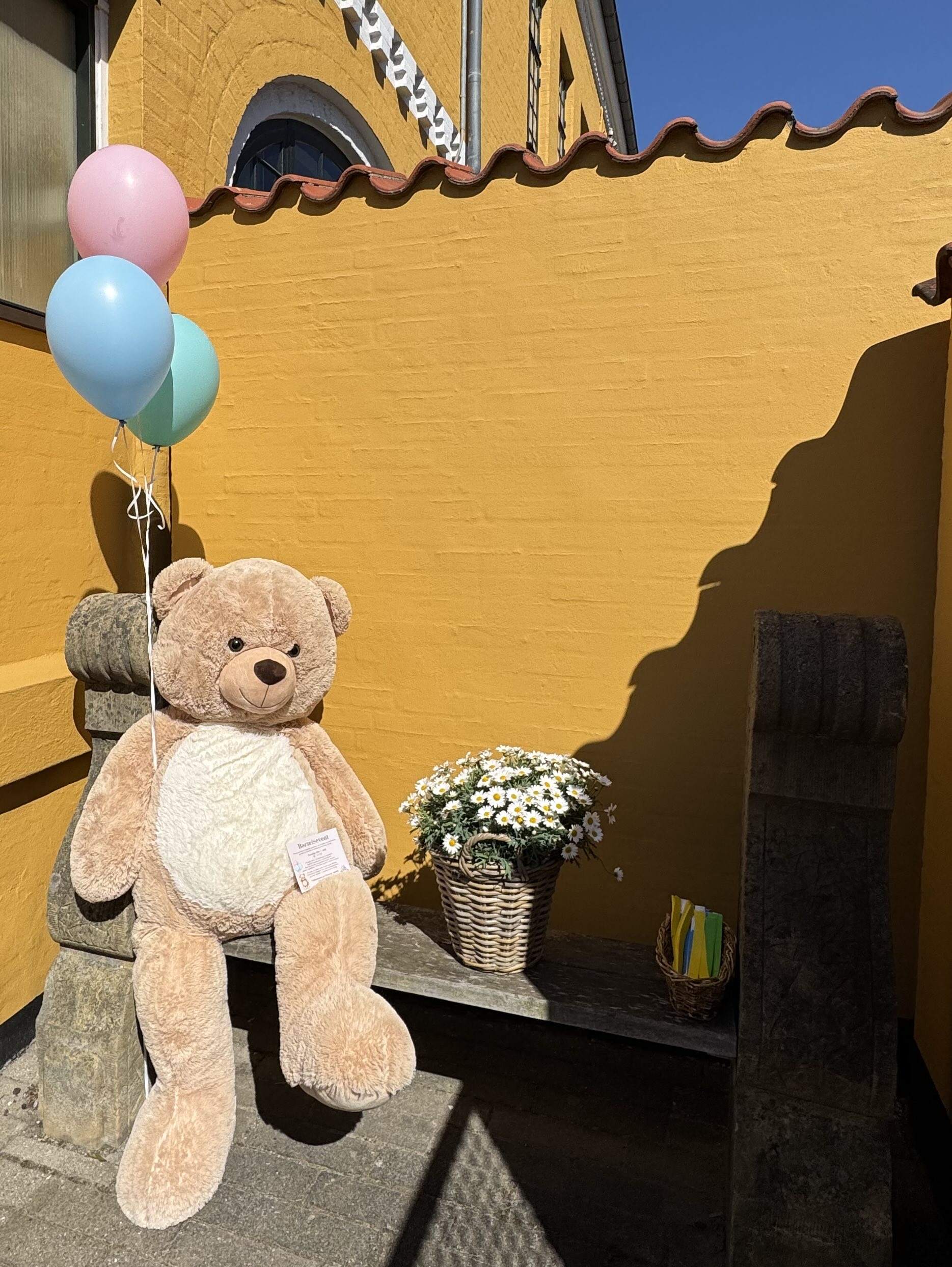 Gravid og ny baby